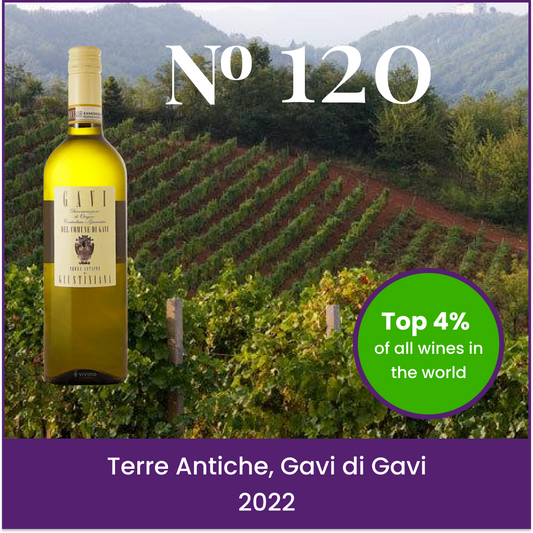 Terre Antiche, Gavi di Gavi 2022